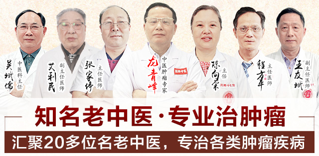 专家团队