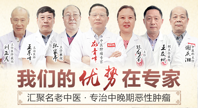 武汉国粹