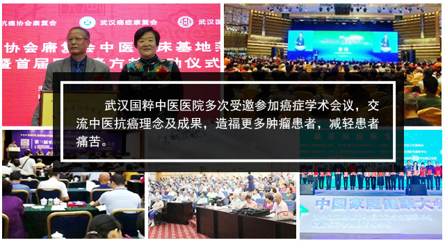 武汉国粹